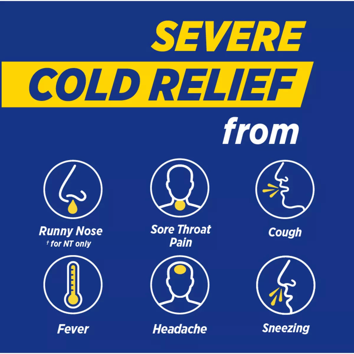Theraflu Multi-Symptom Severe Cold Relief Day & Night Liquid - Berry - 16.6 Fl Oz: 2-Pack, 650 Mg Acetaminophen